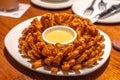 Fried blooming onion with dipping sauce. Royalty Free Stock Photo