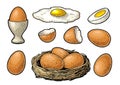 Fried and boiled chicken eggs with broken shell and nest. Vintage color engraving illustration Royalty Free Stock Photo