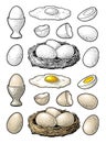 Fried and boiled chicken eggs with broken shell and nest. Vintage color engraving illustration Royalty Free Stock Photo