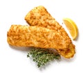 fried breaded fish fillets Royalty Free Stock Photo