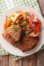 Fried Breaded rump steak with potato and vegetables close-up. vertical top view Royalty Free Stock Photo