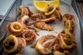 Fried squid in a Tapas dish, Spain.