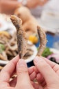 Fried Bulgarian Sprat and Trachurus Royalty Free Stock Photo