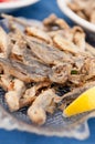 Fried Bulgarian Trachurus Royalty Free Stock Photo