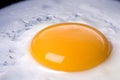 Fried Bullseye Egg Isolated