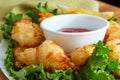 Fried Butterfly Coconut Shrimp Royalty Free Stock Photo