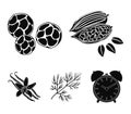 Fried cacao beans, dill, black pepper, vanilla.Herbs and spices set collection icons in black style vector symbol stock