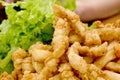 Fried Calamari