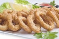 Fried calamari close up