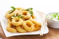 Fried calamari rings Royalty Free Stock Photo