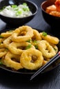 Fried calamari rings Royalty Free Stock Photo