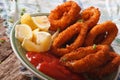 Fried calamari rings close up with ketchup and lemon. Horizontal Royalty Free Stock Photo