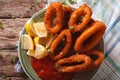 Fried calamari rings close up with ketchup and lemon. Horizontal Royalty Free Stock Photo