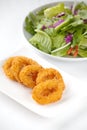 fried calamari rings Royalty Free Stock Photo