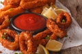 fried calamari rings with ketchup and lemon on the table close-up. horizontal Royalty Free Stock Photo