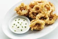 Fried calamari squid rings with aioli garlic sauce