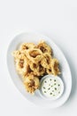 Fried calamari squid rings with aioli garlic sauce