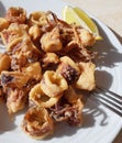 Fried calamary and mini octopus in dish on cook table
