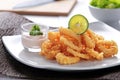 Fried calamary