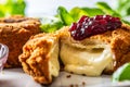 Fried camembert or brie cheese with cranberry jam and basil Royalty Free Stock Photo