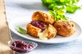 Fried camembert or brie cheese with cranberry jam and basil Royalty Free Stock Photo