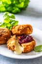 Fried camembert or brie cheese with cranberry jam and basil Royalty Free Stock Photo