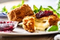 Fried camembert or brie cheese with cranberry jam and basil Royalty Free Stock Photo