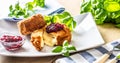 Fried camembert or brie cheese with cranberry jam and basil Royalty Free Stock Photo