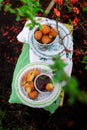 Fried camembert with viburnum jam Royalty Free Stock Photo
