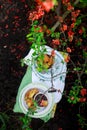 Fried camembert with viburnum jam Royalty Free Stock Photo