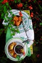 Fried camembert with viburnum jam Royalty Free Stock Photo
