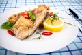 Fried carp fish pieces Royalty Free Stock Photo