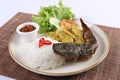 Pecel lele Fried catfish with Indonesian spices served with white rice and fresh vegetables on a plate