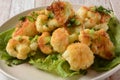 Fried cauliflower florets in batter on a white plate. Royalty Free Stock Photo