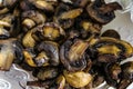 Fried champignons. Limited depth of field. Royalty Free Stock Photo