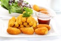 Fried cheese sticks Royalty Free Stock Photo