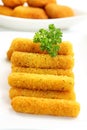 Fried cheese sticks Royalty Free Stock Photo