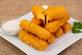Fried cheese sticks Royalty Free Stock Photo