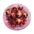 Fried chestnuts in a pink plate isolated watercolor illustration object.