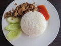 Fried chicken with black pepper and rice Royalty Free Stock Photo