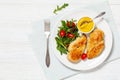 fried chicken breasts with green salad on plate Royalty Free Stock Photo