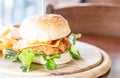 Fried chicken with cheese burger Royalty Free Stock Photo