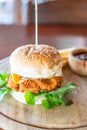 fried chicken with cheese burger Royalty Free Stock Photo