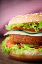 Fried chicken or fish burger sandwich Royalty Free Stock Photo