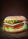 Fried chicken or fish burger sandwich