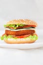 Fried chicken or fish burger sandwich Royalty Free Stock Photo