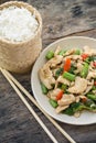 Fried chicken with holy basil and rice Royalty Free Stock Photo