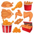 Fried chicken isolated cartoon set icon. Vector illustration crispy wing on white background. Vector cartoon set icon Royalty Free Stock Photo