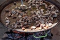 Fried chicken legs. Preparation of chicken paella. national Spanish dish of paella in a large skillet is cooked on an open fire, a Royalty Free Stock Photo