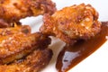 Fried chicken meat Royalty Free Stock Photo
